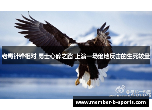 老鹰针锋相对 勇士心碎之路 上演一场绝地反击的生死较量 老鹰针锋相对 勇士心碎之路 上演一场绝地反击的生死较量