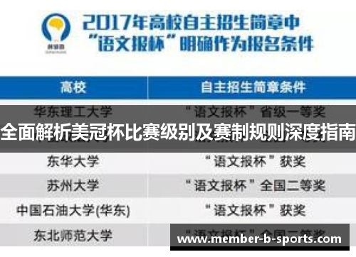 全面解析美冠杯比赛级别及赛制规则深度指南