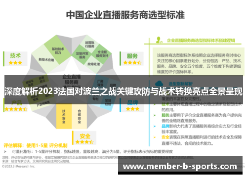 深度解析2023法国对波兰之战关键攻防与战术转换亮点全景呈现