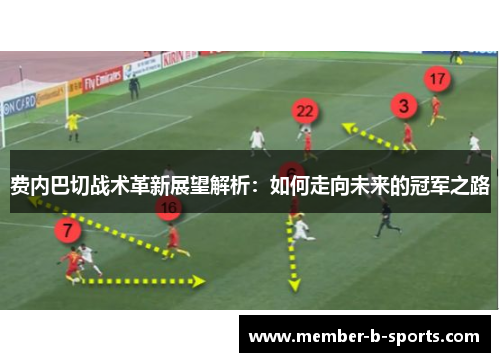 费内巴切战术革新展望解析：如何走向未来的冠军之路