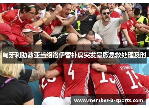 匈牙利助教亚当绍洛伊替补席突发晕厥急救处理及时 匈牙利助教亚当绍洛伊替补席突发晕厥急救处理及时